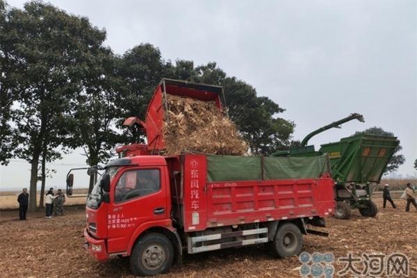 啶虫脒复配什么好 杀虫单与什么复配