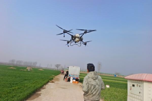 绣球花可以喷多菌灵磷酸二氢钾 怎样扦插绣球花?
