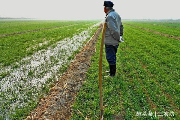 南方现在适合种什么农作物 南方11月份种植什么蔬菜?