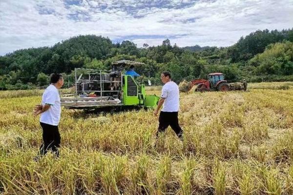 二手农用拖拉机:选购指南、使用技巧与维护管理全攻略