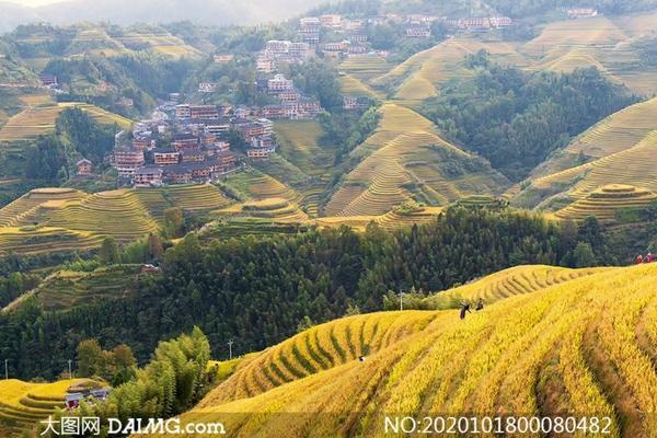 吡虫啉浓度高了怎么补救 吡虫啉对人毒性大吗