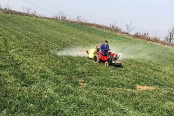 小麦拌种剂可以拌花生吗 先正达小麦拌种剂价格表