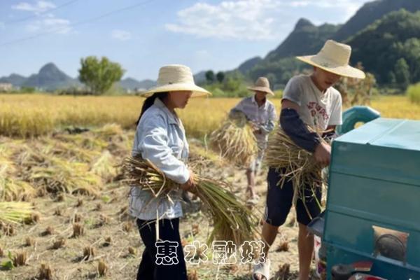 【自制高效多菌灵和生根剂的方法教程】