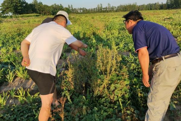 植物生根剂配方表 白糖白醋生根剂的做法?