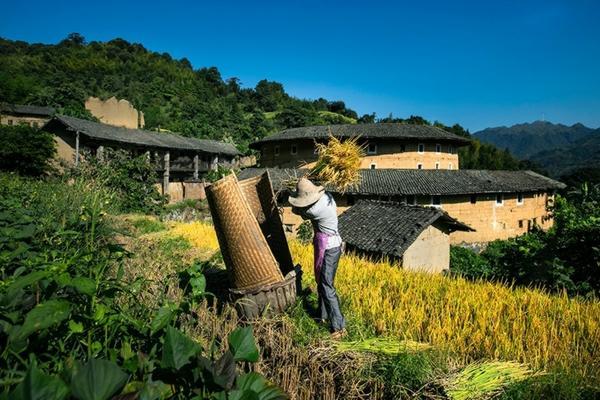 辣椒红色素的提取方法 辣椒红色怎么调?
