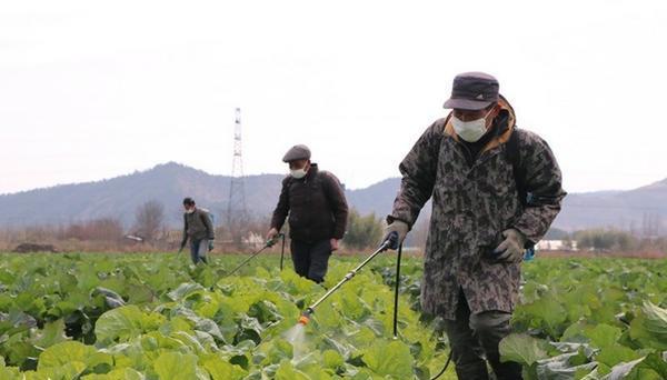 滴酸草甘膦除草剂使用方法 24滴酸草甘膦和麦畏草甘磷的区别
