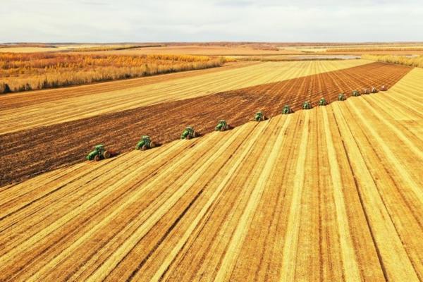 怎样种葱籽出苗快出苗齐 小葱籽怎么种植方法家里
